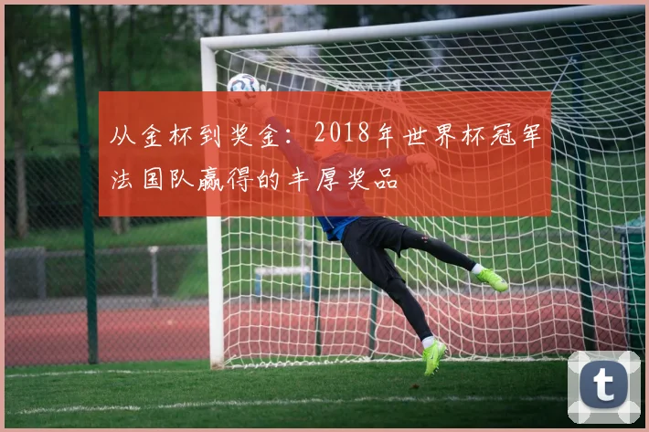 从金杯到奖金：2018年世界杯冠军法国队赢得的丰厚奖品